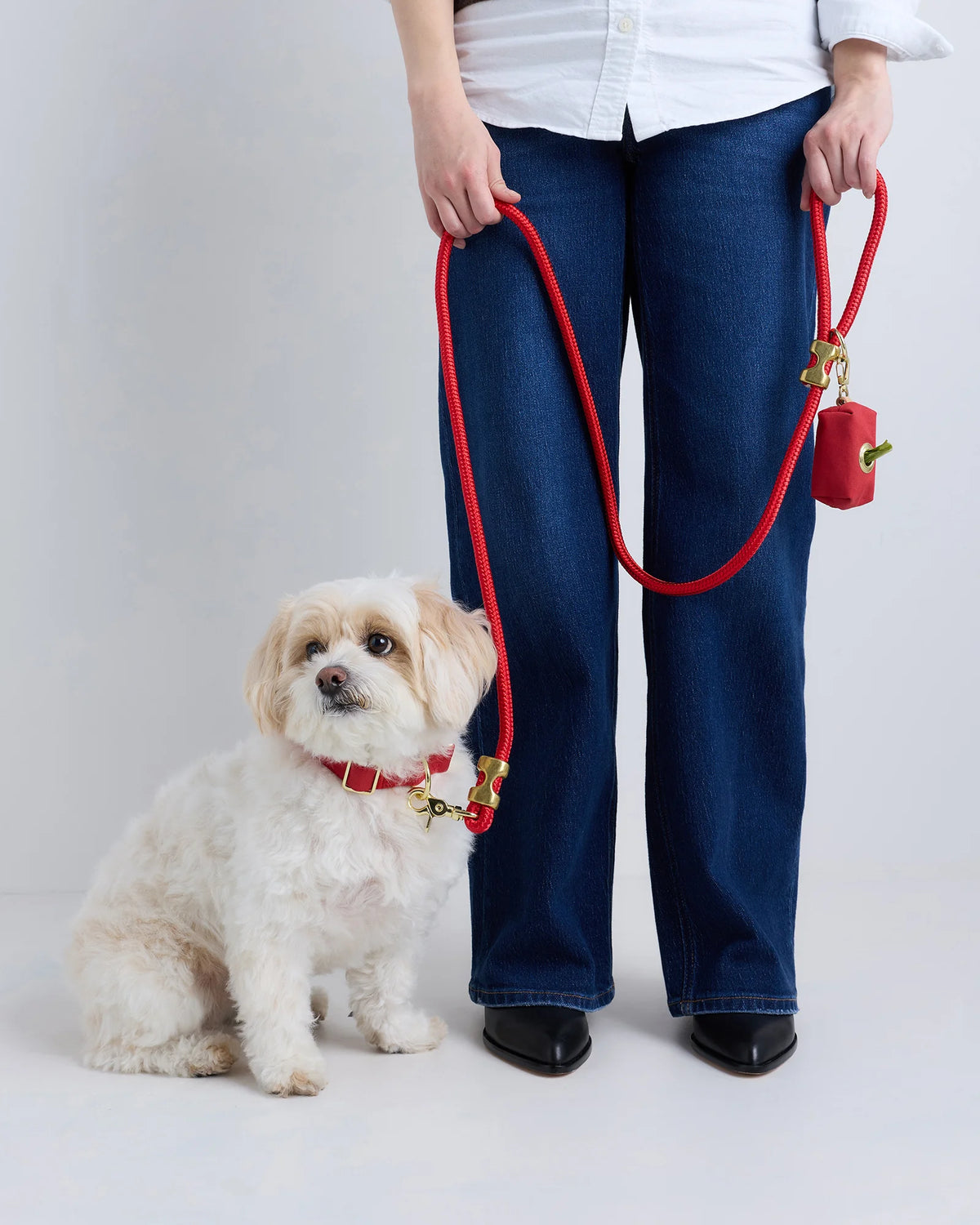 100% Cotton-Wrapped Nylon Dog Collar - XS / Navy