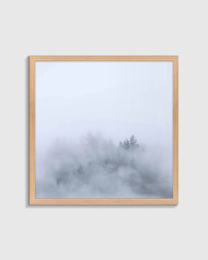 Above the Mist by Laura Zimmerman - 21.25"x21.25" / White
