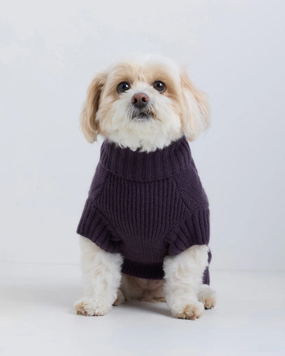 Mongolian Cashmere Cable Knit Dog Sweater - XS / True Navy