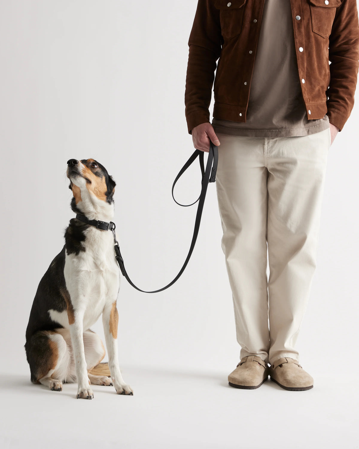 Flex-Poly Dog Leash - Standard / Black