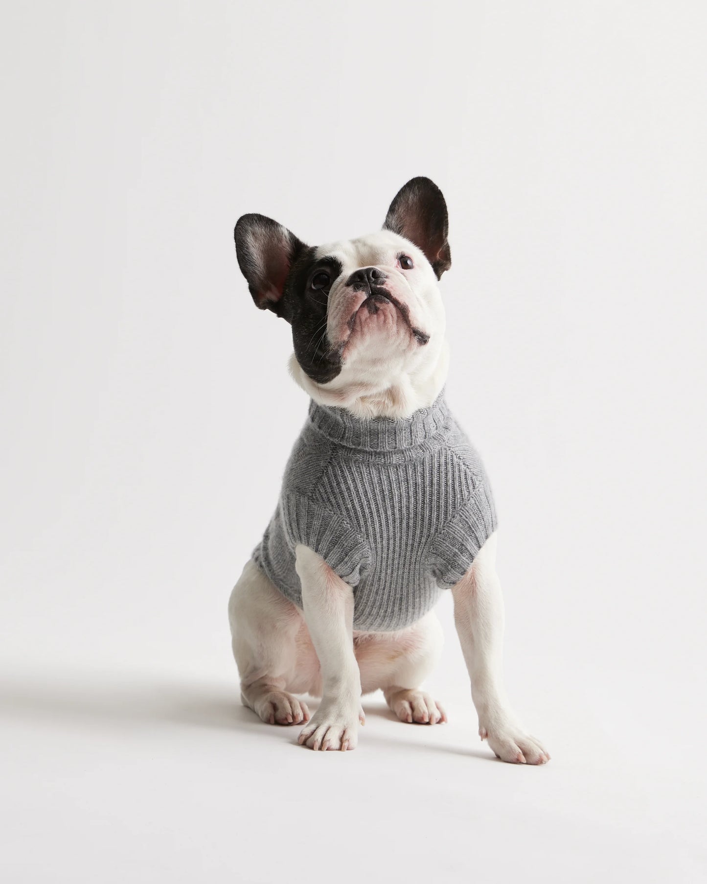 Mongolian Cashmere Cable Knit Dog Sweater - XS / True Navy