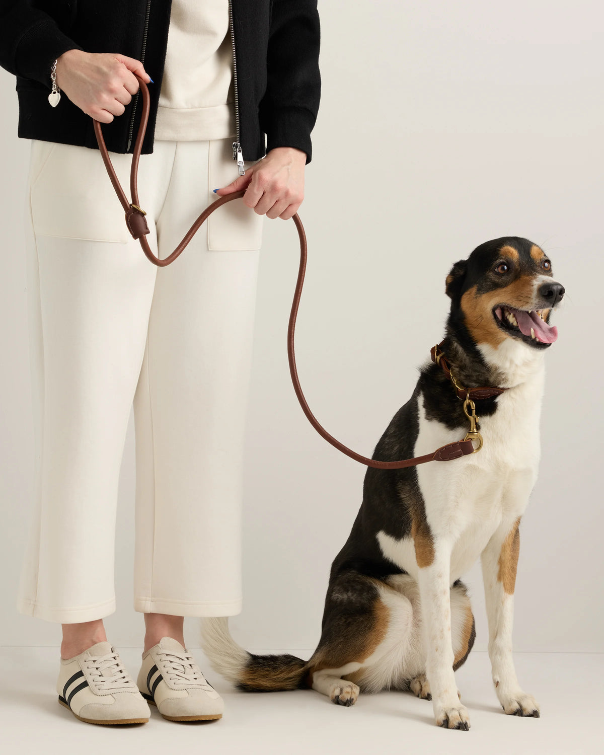 Italian Leather Dog Collar Walk Kit - XS / Brown