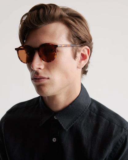Brixton Polarized Acetate Sunglasses - Standard / Clear Taupe with Brown lens