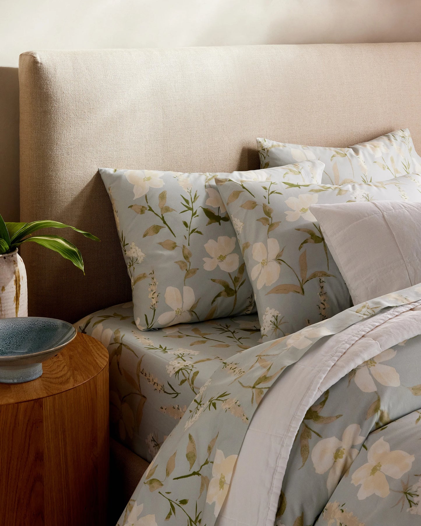 Organic Crisp Percale Sham Set - Standard / White