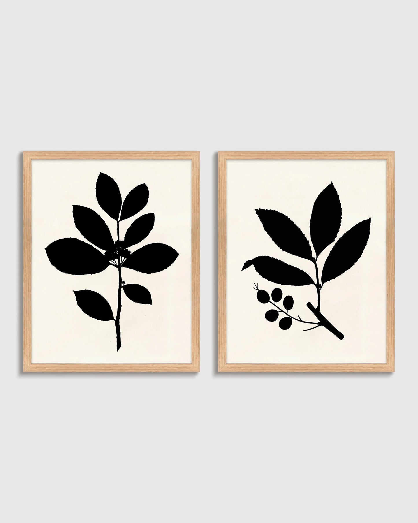 Tea Tree, Cherry Laurel by Philippa Katz (Set of 2) - 17.25"x21.25" / Black