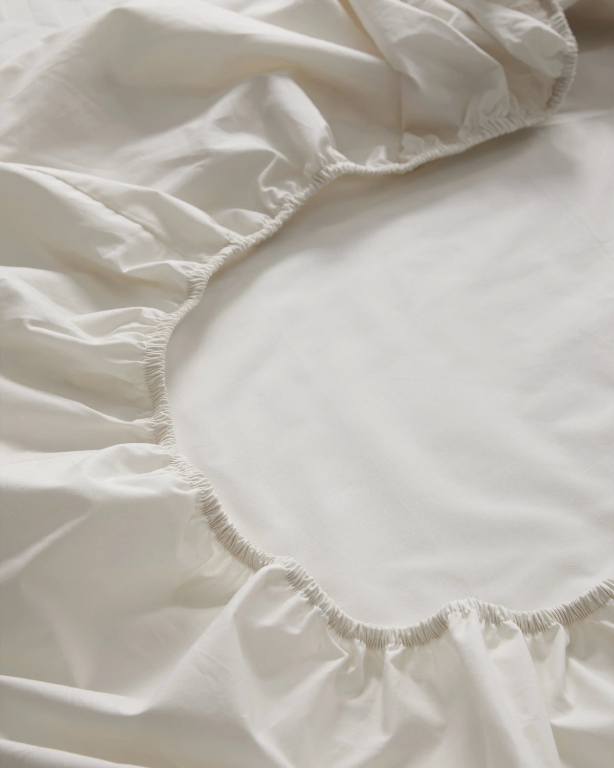 Organic Crisp Percale Fitted Sheet Set - Twin / Espresso