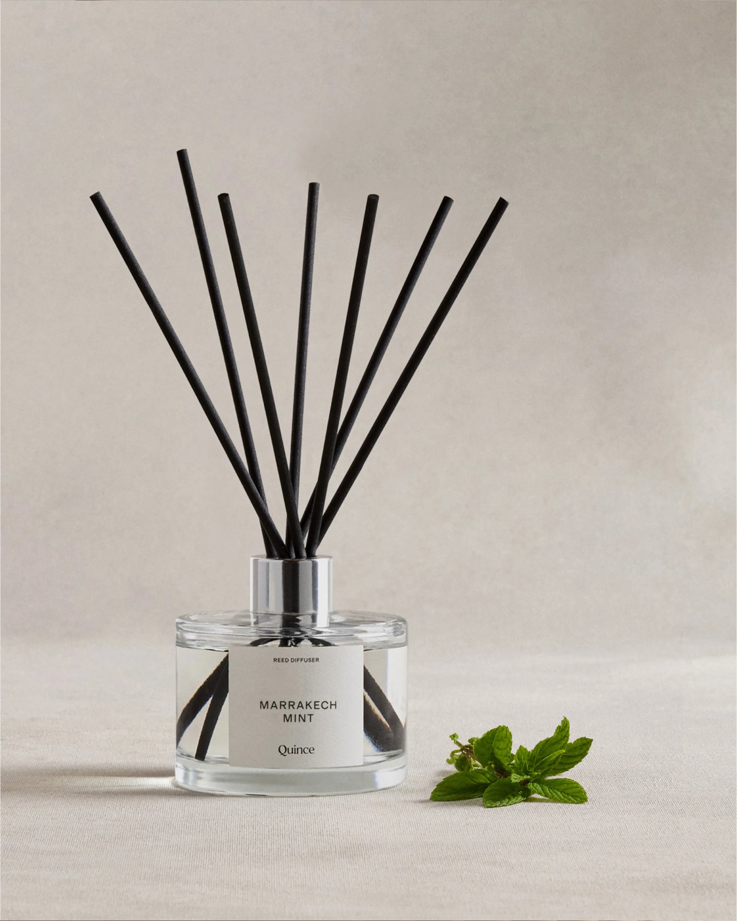 Marrakech Mint Reed Diffuser - One Size / No Color
