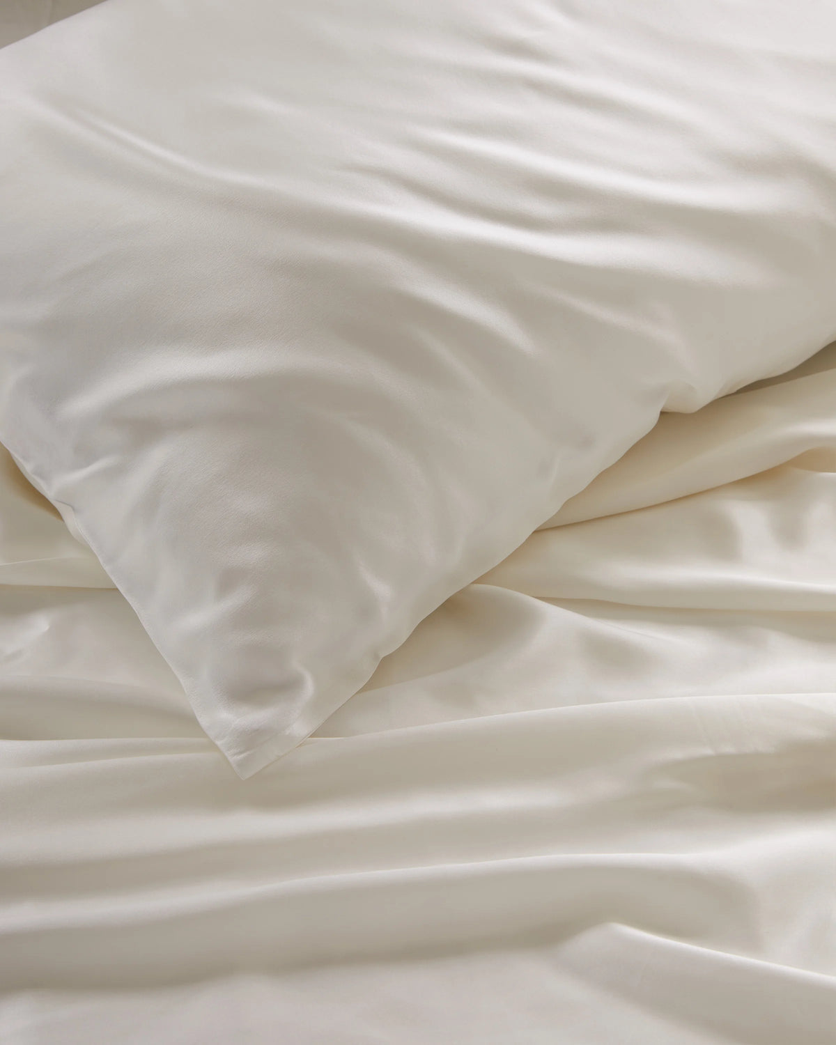 Mulberry Silk Fitted Sheet - Queen / Ivory
