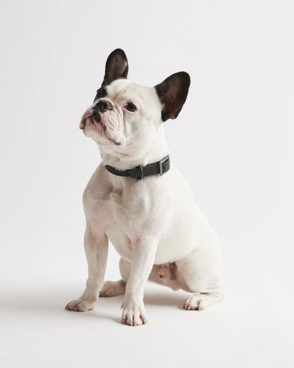 Flex-Poly Dog Collar - XS / Black