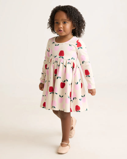 Organic Cotton Long Sleeve Skater Dress - 2T / Red Poppy Garden