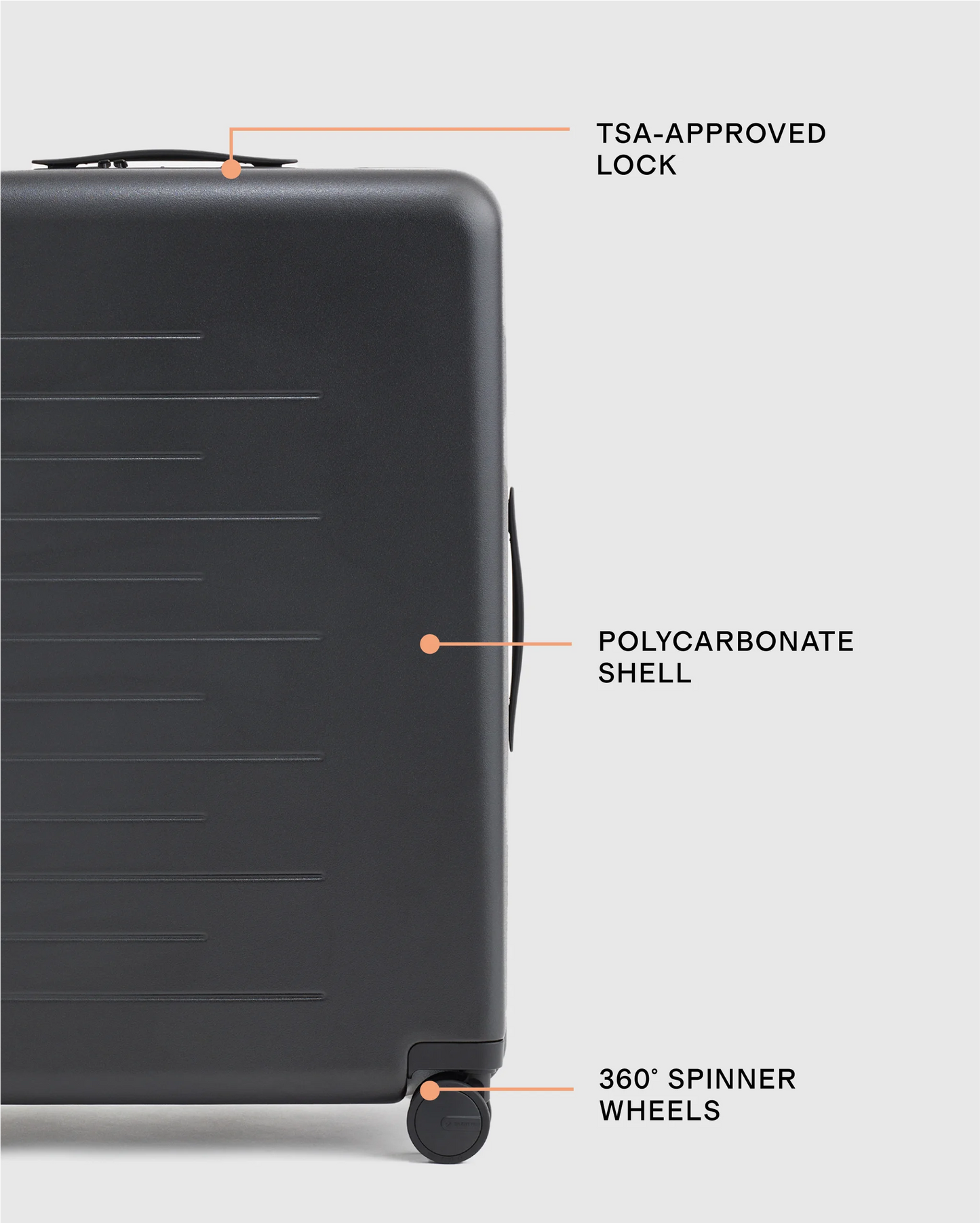 Medium Check-In Suitcase - One Size / Emerald Jungle