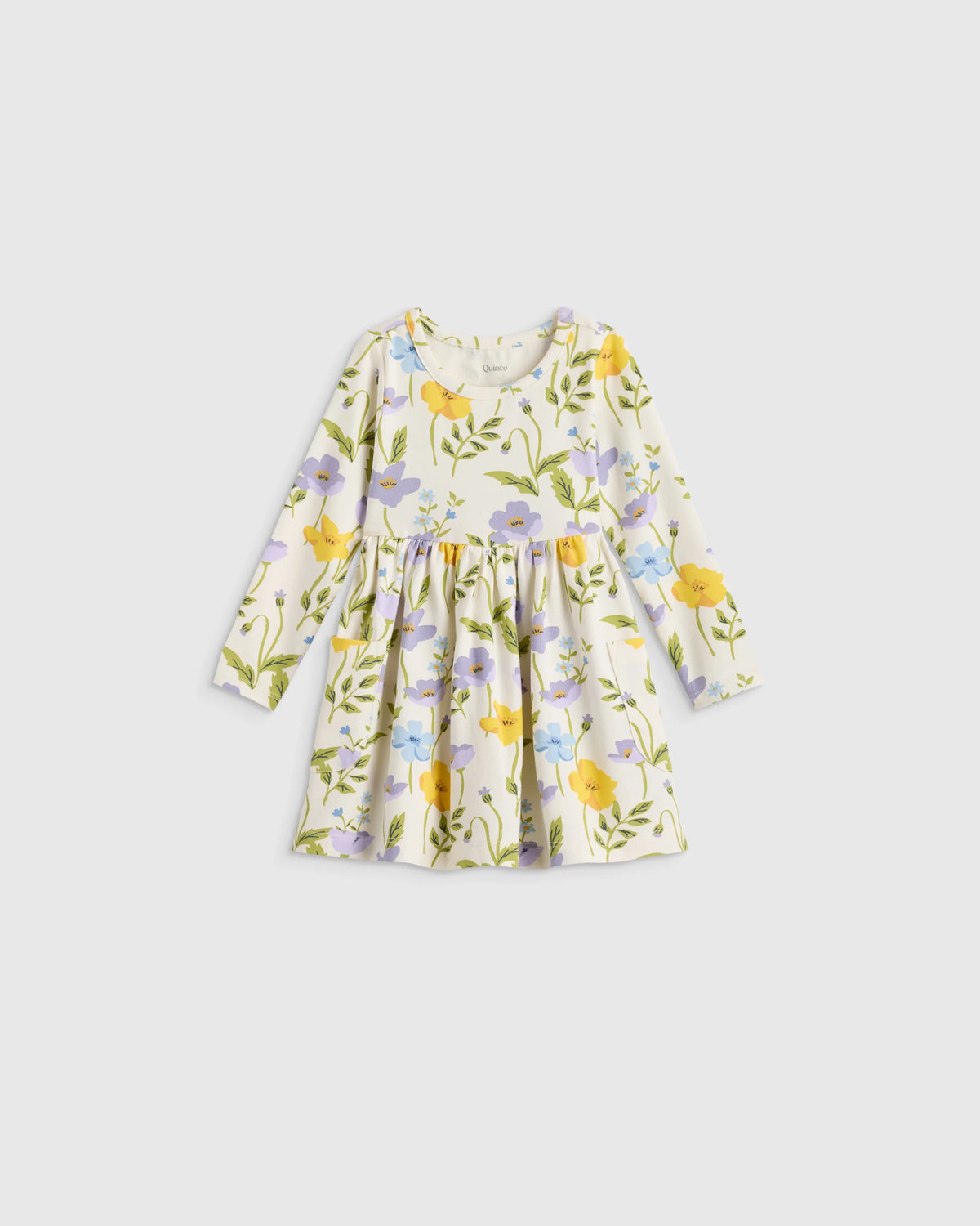 Organic Cotton Long Sleeve Fit and Flare Pocket Dress - 12-18M / Purple Poppy Garden