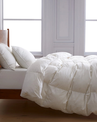 Lightweight Premium Down Duvet Insert - Twin / Down