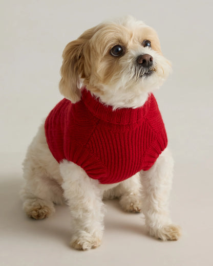 Mongolian Cashmere Cable Knit Dog Sweater - XS / True Navy
