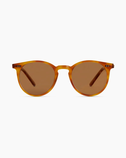Noah Polarized Acetate Sunglasses - Standard / Tortoise with Brown lens