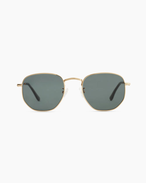 Leighton Polarized Stainless Steel Sunglasses - One Size / Gold with Green lens