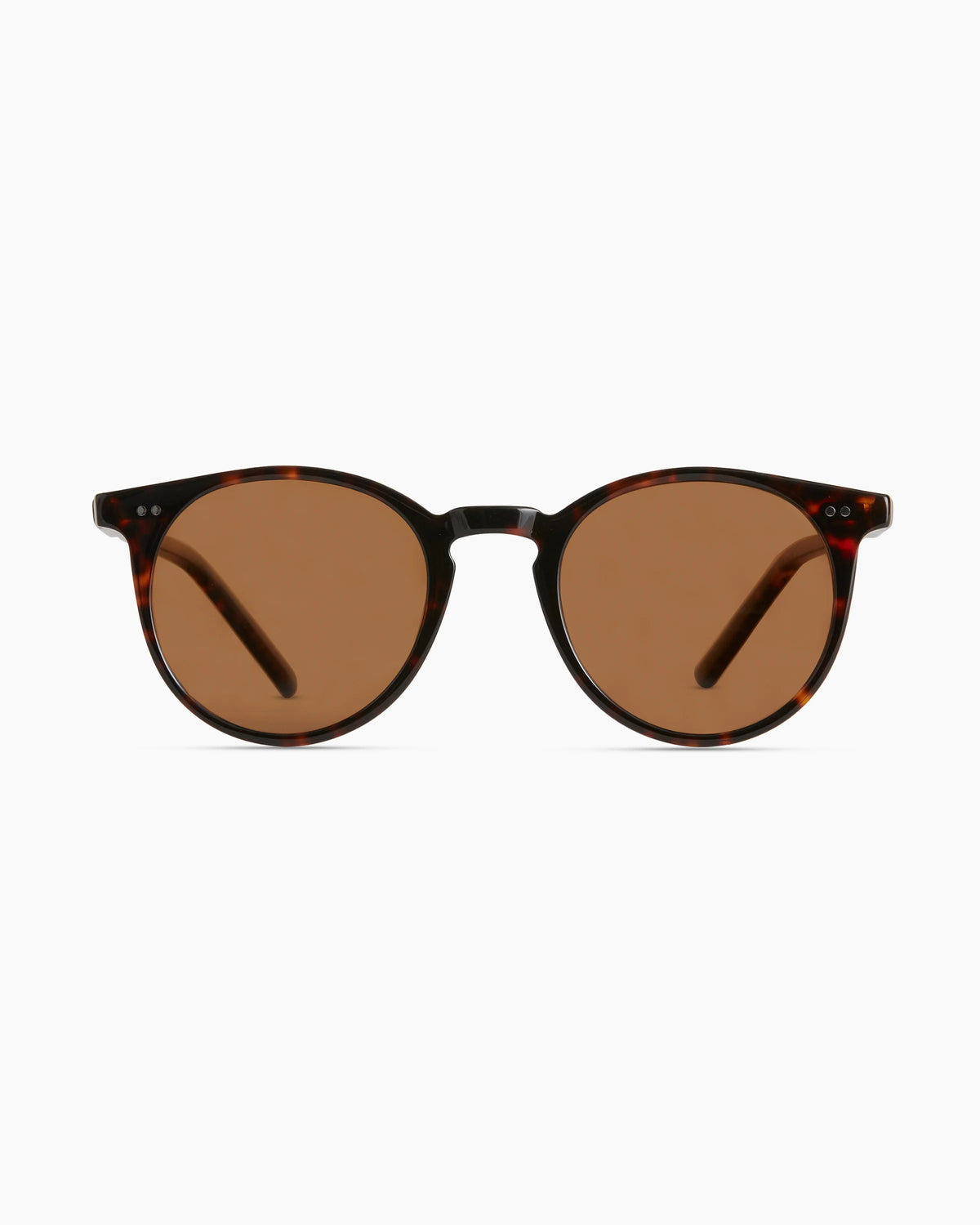 Noah Polarized Acetate Sunglasses - Standard / Tortoise with Brown lens