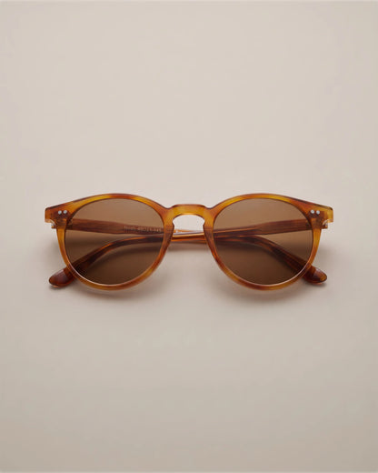 Noah Polarized Acetate Sunglasses - Standard / Tortoise with Brown lens