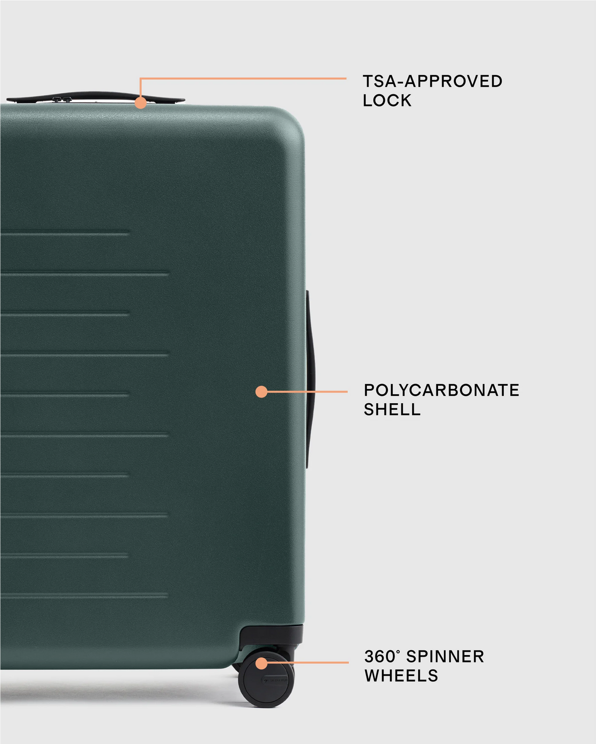 Medium Check-In Suitcase - One Size / Emerald Jungle