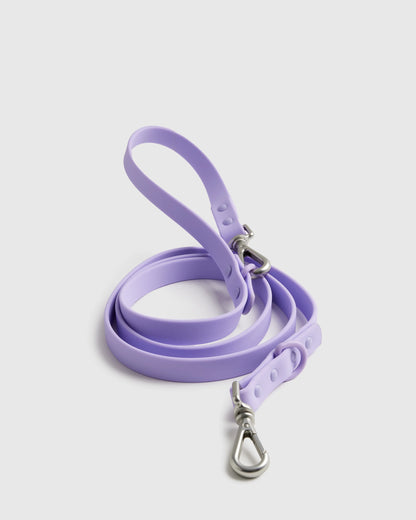 Dog Harness Walk Kit - XS / Black