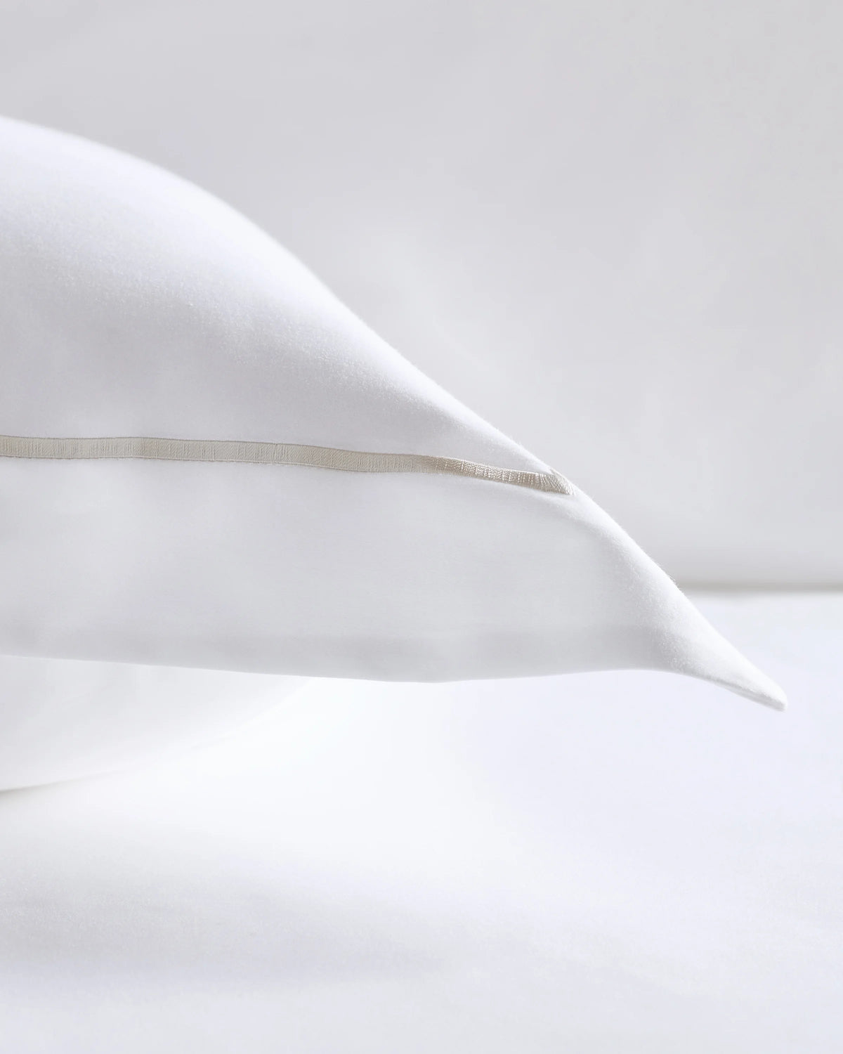 Signature Giza Cotton Sateen Embroidered Euro Sham - Euro / White/Dried Sage
