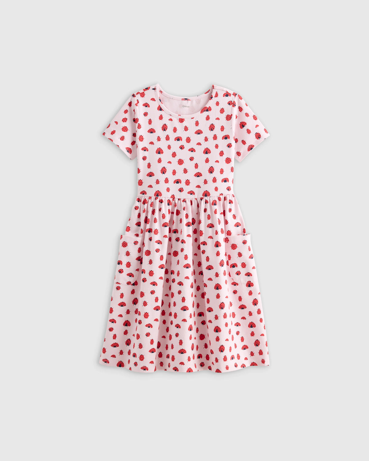 Organic Cotton Fit and Flare Pocket Dress - 2T / Critter Floral