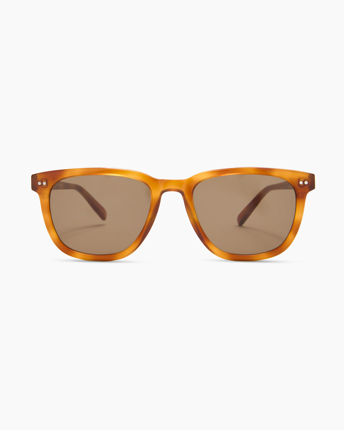 Athens Polarized Acetate Sunglasses - One Size / Clear Brown with Brown lens
