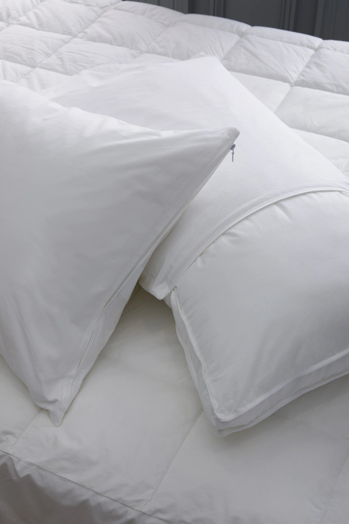 100% Cotton Pillow Protectors (Set of 2) - Standard / White