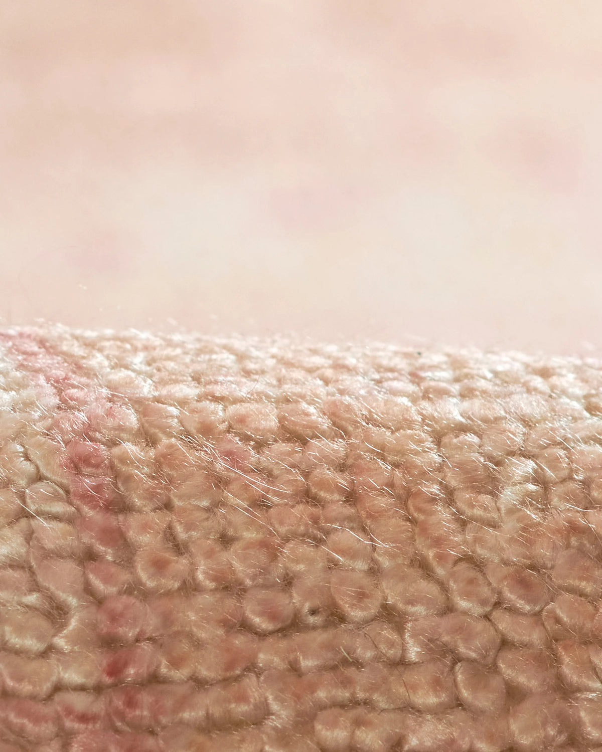 Arya Performance Rug - 5' x 8' / Pink