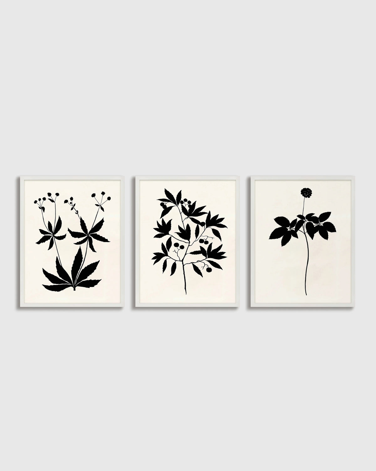 Botanical by Philippa Katz (Set of 3) - 17.25"x21.25" / Black